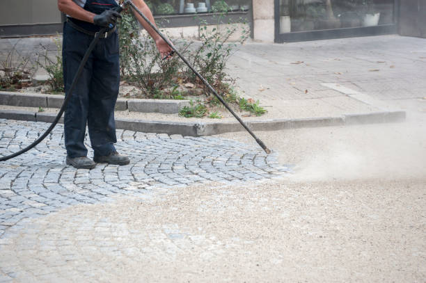 Animal Enclosure Cleaning in Double Oak, TX